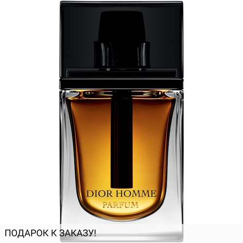 Christian Dior Dior Homme Parfum