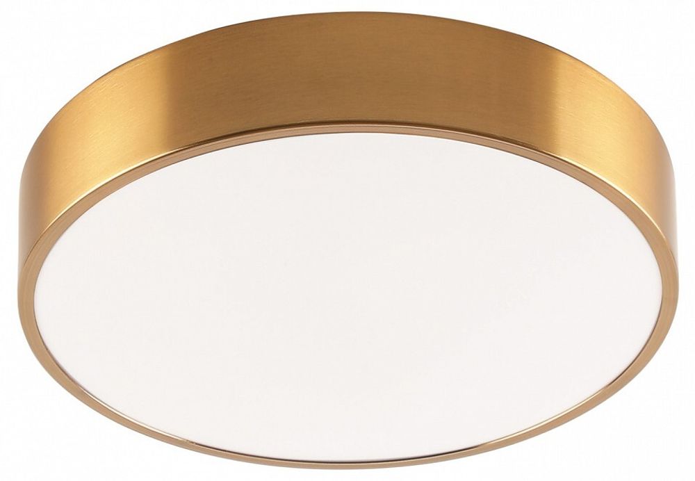 Накладной светильник Zortes Tortty ZRS.02566.48