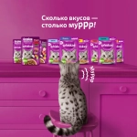 Влажный корм для взрослых кошек Форель паштет, 75г Whiskas