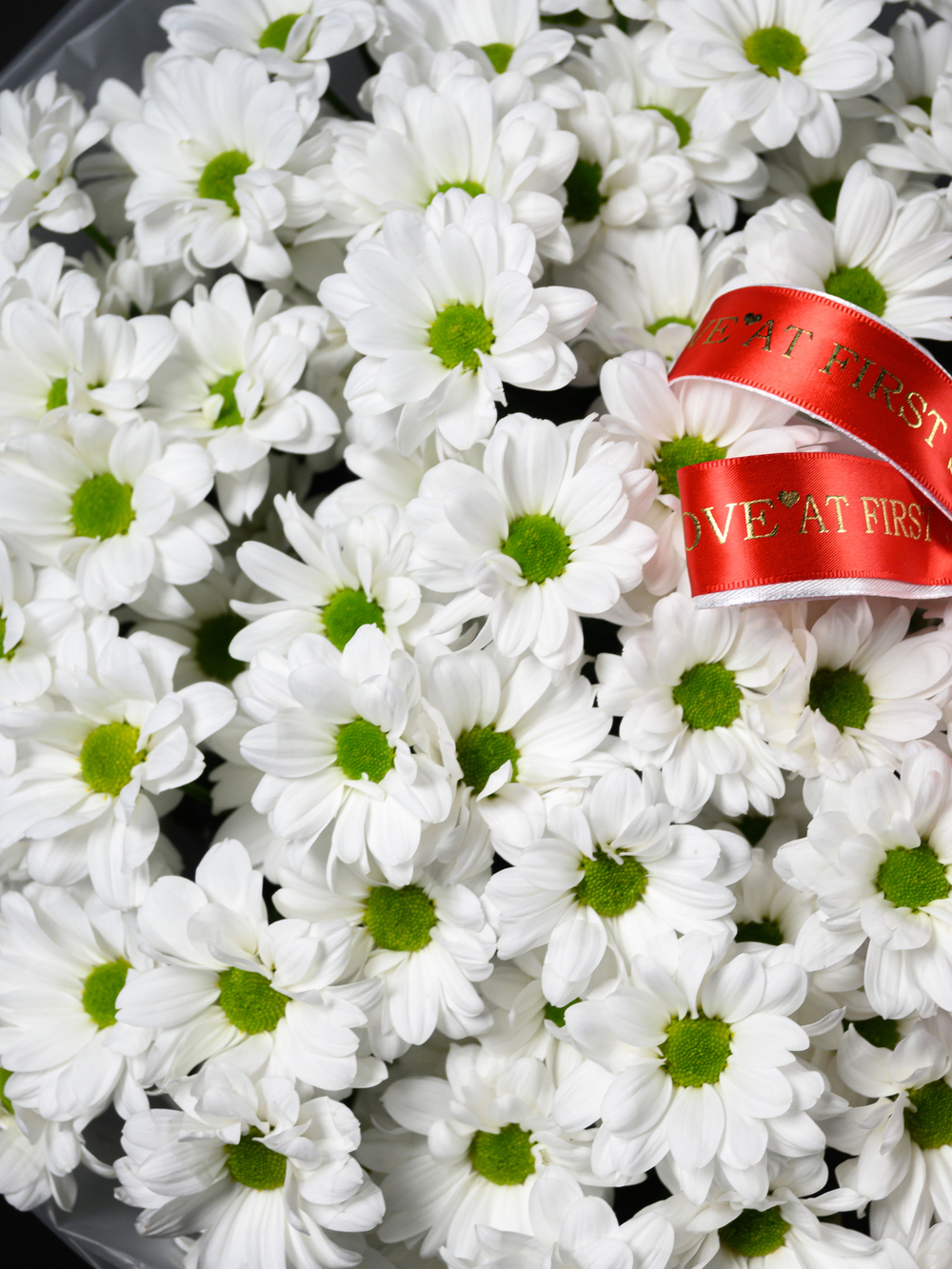 Моя Любовь 11