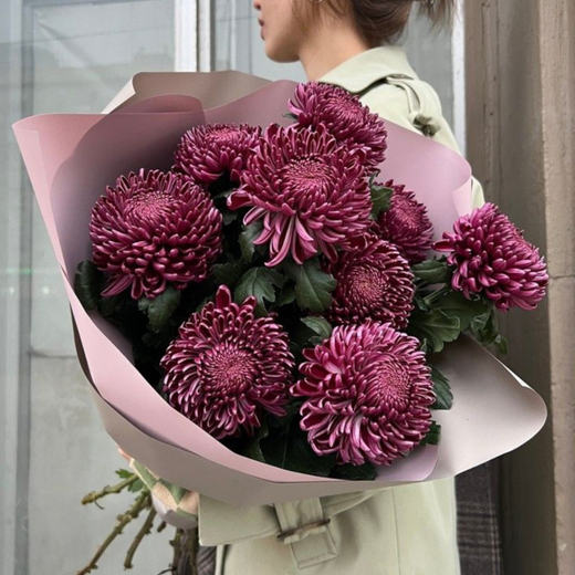 Букет из бордовых хризантем "Wine Bloom"