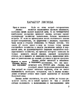 Охота на лисиц | Н.А. Зворыкин