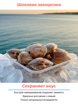 Моллюск венерка (вонголе) в раковине в/м 500 гр