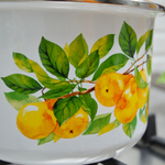 Кастрюля 3л "Грушевый сад"