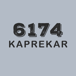 Принт PewPewCat 6174 Kaprekar на серой футболке