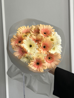 Букет из гербер в кремовом оттенке 15 шт