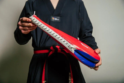 Ракетка двойная ProfSport Чаги