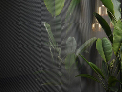 СУПЕРМАКСИ: FUSION