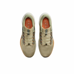Кроссовки Nike Air Zoom Pegasus 41 Premium 'Neutral Olive' HJ7331-276