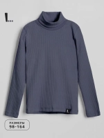 Водолазка для мальчика на осень школьная