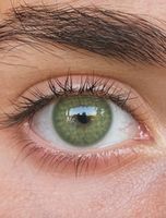 Светло зеленые яркие цветные линзы Marquise Gemstone green / Зеленые цветные линзы для темных и светлых глаз