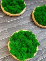 Панно из мха набор набор 3 шт.