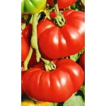 Семена Томат Царская Шапка (УД) Е/П