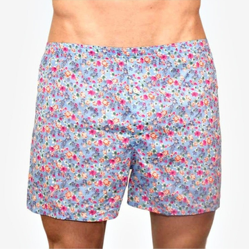 Мужские трусы-шорты голубые Romeo Rossi Spring Meadow Shorts RR00313
