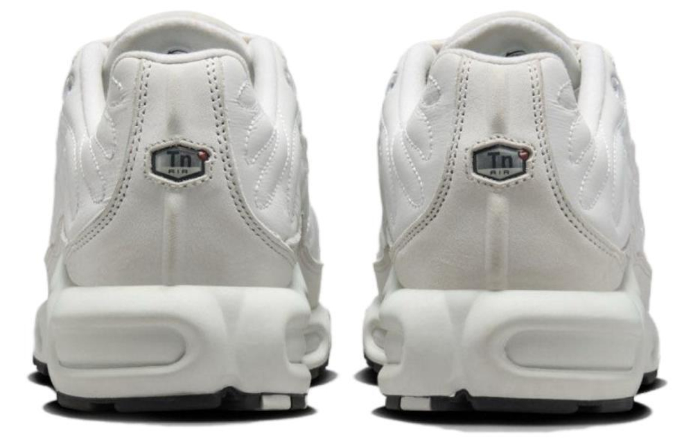 Кроссовки Nike Air Max Plus (Женская размерная сетка)