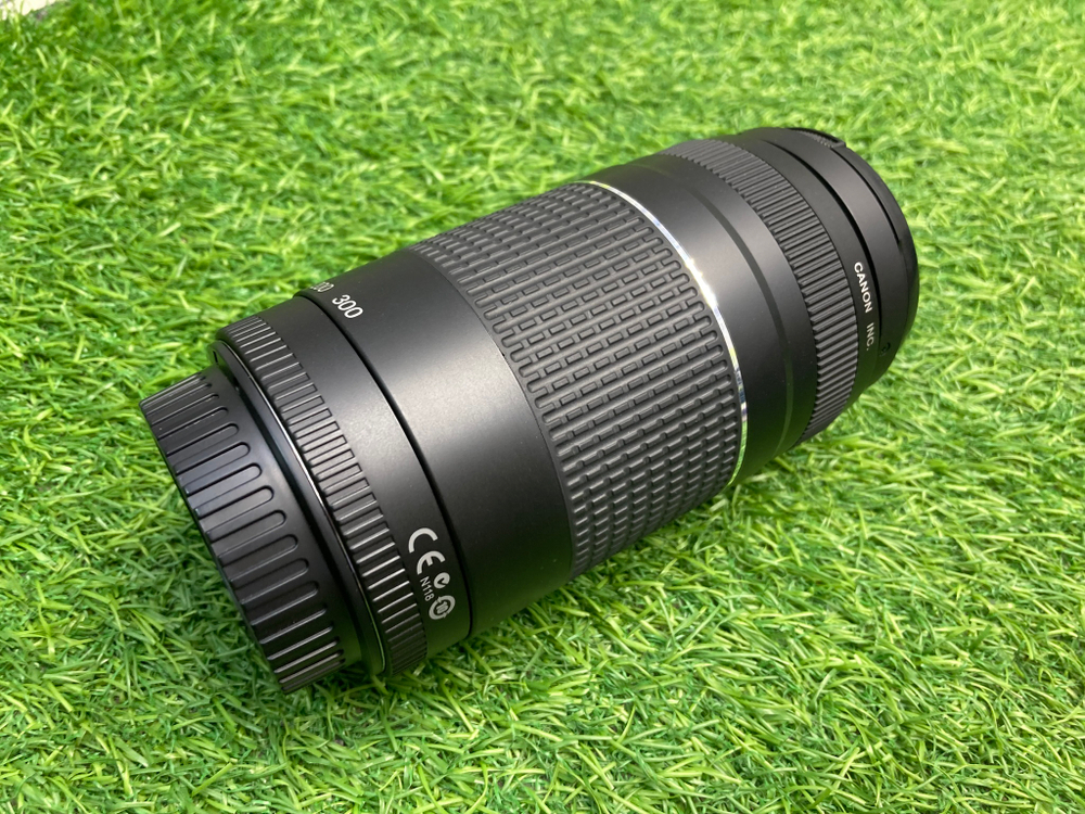 Canon EF 75-300mm 4-5.6 III