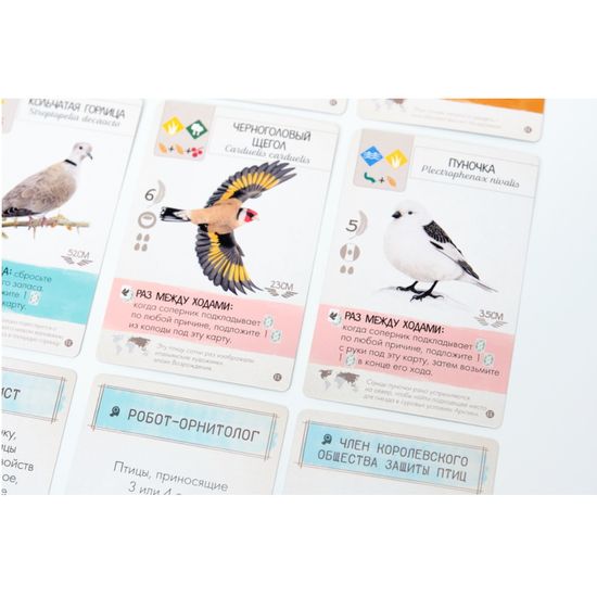 Настольная игра "Крылья. Птицы Европы"