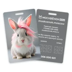 Карта Москвёнок BUNNY №8 (проход + питание)