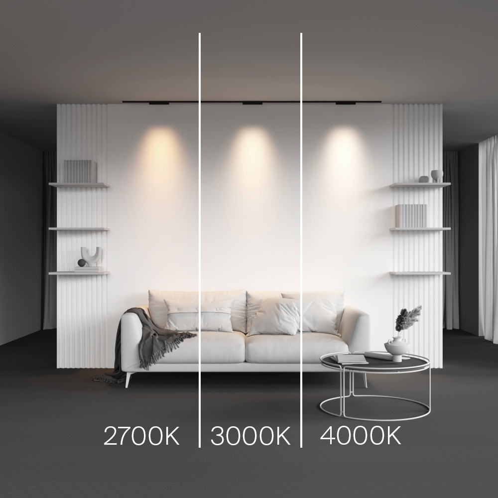 Магнитный трековый светильник Maytoni Points TR193-1-10W2.7K-M-B