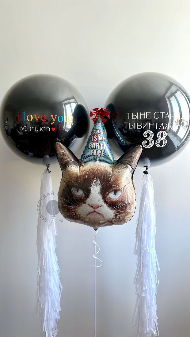 Воздушные шары №8321