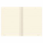 Тетради 40 л. в линию обложка SoftTouch, НАБОР 3 шт., бежевая бумага 70 г/м2, сшивка, А5 (147х210 мм), FLORA, BRAUBERG, 403798