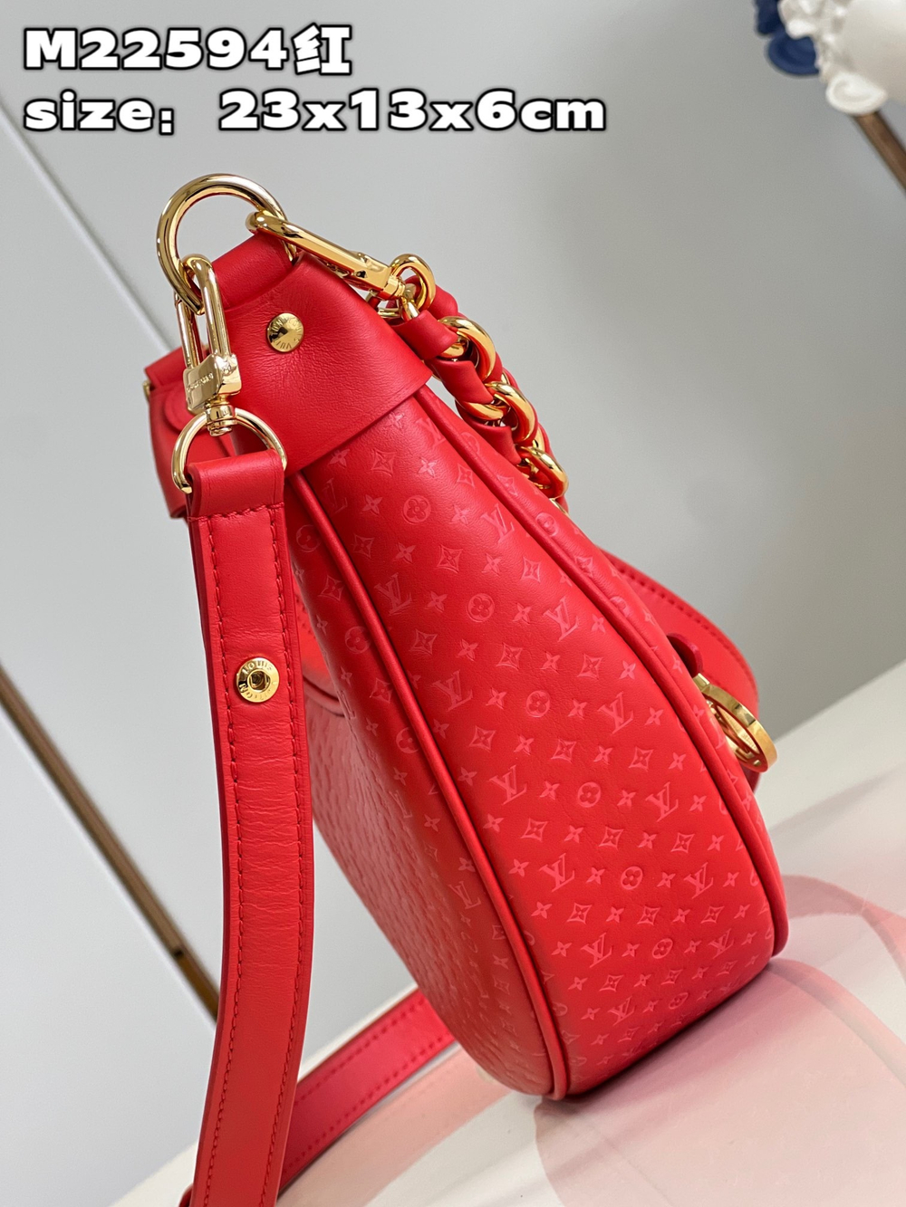 Louis Vuitton Loop Bag