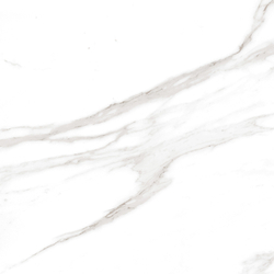 Calacatta Regal Grey Керамогранит белый 60х60 Полированный