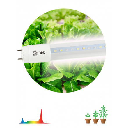 Фитолампа для растений светодиодная ЭРА FITO-9W-Ra90-Т8-G13-NL полного спектра 9 Вт Т8 G13