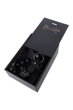 Сбруя для фиксации шеи и рук Pecado черная