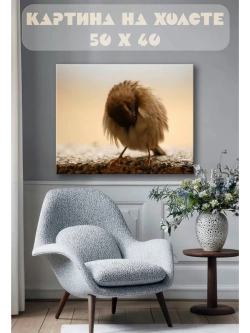 Картина на стену 40 X 50 Птичка