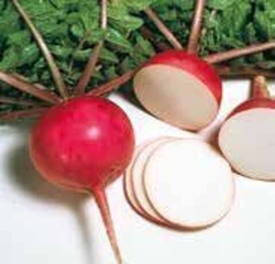 Мисато Ред семена дайкона (Sakata / Саката)