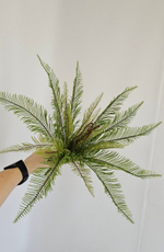 Папоротник Блехнум / Арт 6388