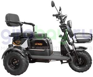 Электротрицикл IKINGI T3 Pro MAX 1000W (60V/30Ah) - Чёрный фото №3