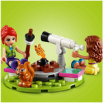 LEGO Friends: Роскошный отдых на природе 41392 — Nature Glamping — Лего Френдз Друзья Подружки