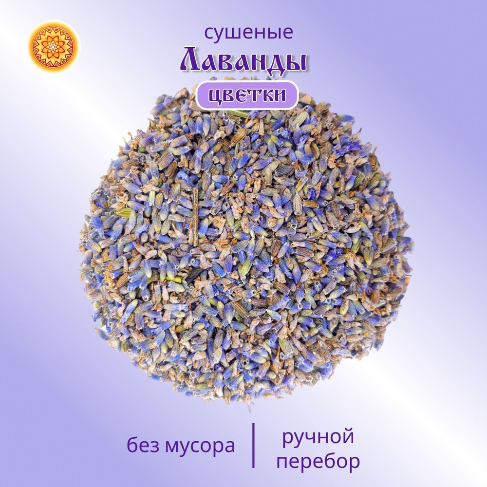Лаванда цвет сушеный.