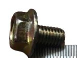 Болт 6х 10 с зубчатым буртиком 2101  (ОАО «БелЗАН») (уп25\50шт) 99