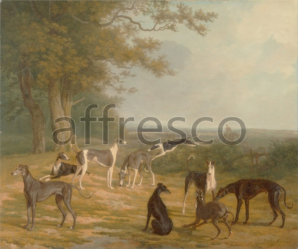 Фреска Jacques Laurent Agasse, Nine Greyhounds in a Landscape