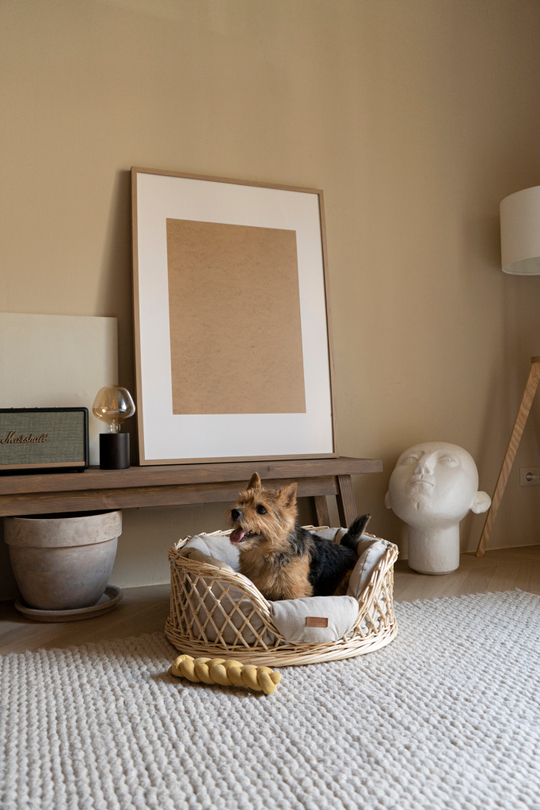 Лежанка из лозы "Пони-Набалкони"