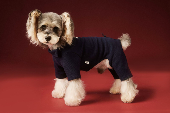 Боди для собак Вафля