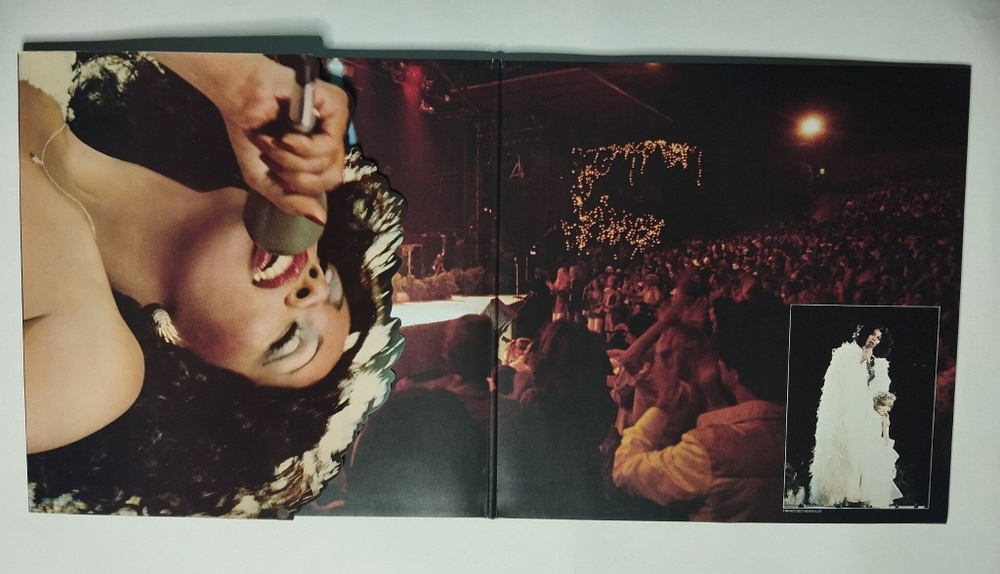 Винтажная виниловая пластинка LP Donna Summer Live And More (Germany 1978)