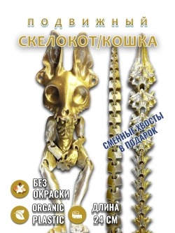 Скелет Кошки