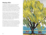 A Ladybird Book: Trees