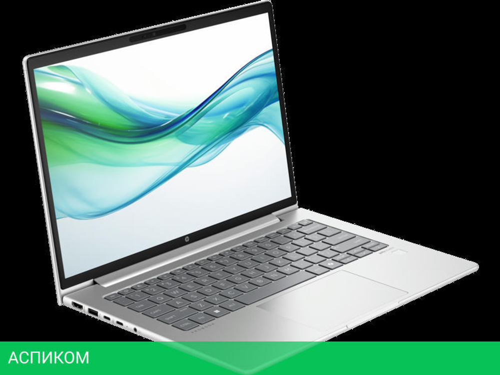Ноутбук HP ProBook 440 G11 Silver (8Z4N0AV)