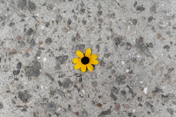 Весенняя ревизия тротуарной плитки: что проверить после схода снега