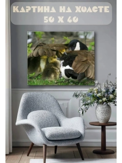 Картина на стену 40 X 50 Утка с утятами