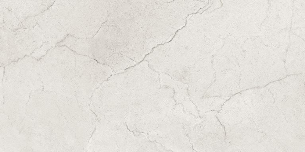 Керамогранит, MAIMOON, Flority Ash, 1200x600 мм, полированная