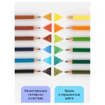 Карандаши цветные 12цв. Гамма Хобби. Лесной пейзаж