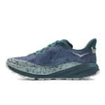 Кроссовки мужские Hoka Speedgoat 6 GTX