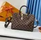 Сумка Louis Vuitton Speedy Damier Ebene