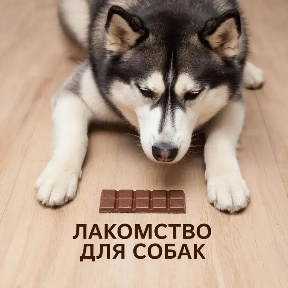 Мясной гематоген CLASSIC. Лакомства для собак TiTBiT